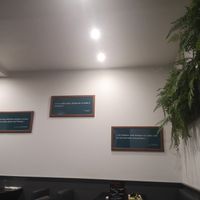 Inside at Velicious in Strasbourg