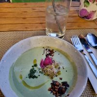  at Velicious in Strasbourg