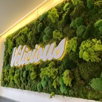   at Velicious in Strasbourg