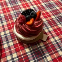  at Velicious in Strasbourg