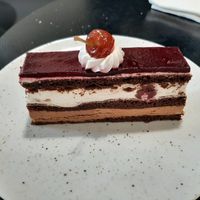   at Velicious in Strasbourg