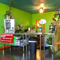 Primal at Primal Juice and Smoothies in San Antonio