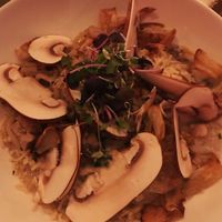   at Avant Garden in New York City