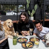Happy puppies and owners in the dog-friendly courtyard!!  at Serotonin Eatery in Burnley