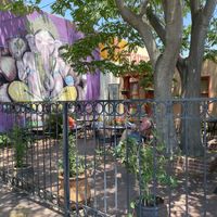 Beautiful outdoor patio seating   at Annapurna's World Vegetarian Cafe - UNM in Albuquerque