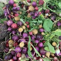 Radishes at Bio c' Bon in Nice