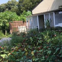 Garden photo 1 at Eat Well Canteen 慧食堂 in New Territories