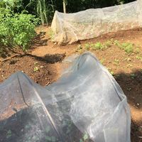 Garden photo 3 at Eat Well Canteen 慧食堂 in New Territories