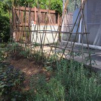 Garden photo 4 at Eat Well Canteen 慧食堂 in New Territories