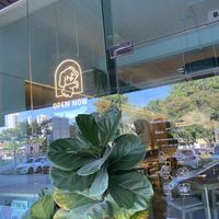 Open Now  at Brown Poodle in Penang