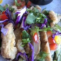 Thai King Oyster Mushrooms   at V Series in Kew