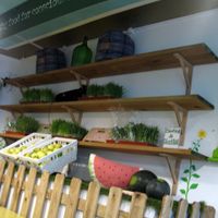 Inside at Ink FarmFood Cafe in Lisbon