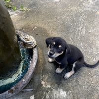   at EL Cafe International Vegan Food in Phan Thiet