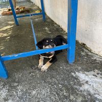   at EL Cafe International Vegan Food in Phan Thiet