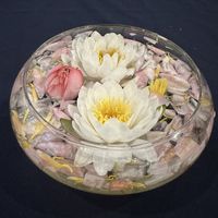   at Isha Institute of Inner-Sciences in Mcminnville