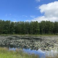   at Isha Institute of Inner-Sciences in Mcminnville