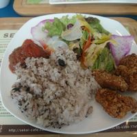 Sekai Cafe at Sekai Cafe  in Tokyo