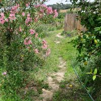 🌿🌸Flowers, pathways and wild corners🌸🌿 at Brunch Vegà al Jardí - Pop Up in Ullastret
