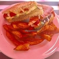 Vegetable panini (NOT VEGAN!!) is eggplant, zucchini, red peppers, mozzarella with basil pesto and served with fries. at Sunnyside Cafe in Sarasota
