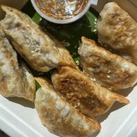 Gyoza  at Broccoli Revolution - Sukhumvit Rd in Bangkok