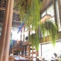 A refreshing ambience, makes you forget you’re in Bangkok.  at Broccoli Revolution - Sukhumvit Rd in Bangkok