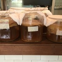 Kombucha  at Broccoli Revolution - Sukhumvit Rd in Bangkok