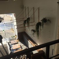 interior at Zatar Falafel & Hummus in Vilnius