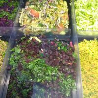 Various salads at HAPS in Copenhagen
