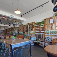 Cool decor at The Alkaline Cafe in Albany