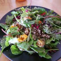 Roast pumpkin salad at The Alkaline Cafe in Albany