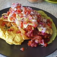 Vegan Nachos at The Alkaline Cafe in Albany