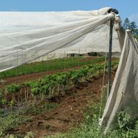 Farm at Sadeh Yarok Organic Farm Shop in Beit Yehoshua