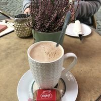 Chocolate coffee with oat milk and a lotus biscuit  at Pfefferminzje in Koblenz