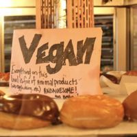 Yess at Voodoo Doughnuts - E 6th St in Austin