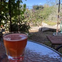 Local kombucha on tap in the garden seating at Beautiful Day Cafe in Wichita