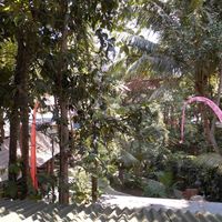 View into the garden at Fresh in Ubud