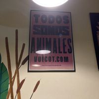 💚 at Vegan Wraps in Montevideo