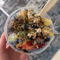   at SoHo Juice in Tampa