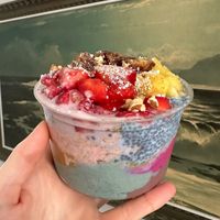   at SoHo Juice in Tampa