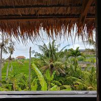 back view at Oma Jamu in Canggu