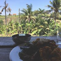Vegan buffet with a view at Oma Jamu in Canggu