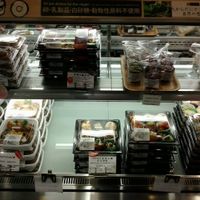 so many vegan bento boxes! at Evah Dining Macrobiotic - JR Hakata in Fukuoka