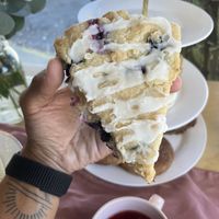   at InfusionTea in Orlando