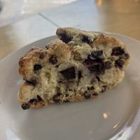 GF Cherry Chocolate Scone  at InfusionTea in Orlando