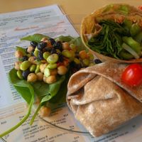Vegan hummus and veggie wrap at InfusionTea in Orlando