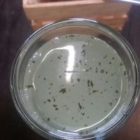 Agua de tuna con albahaca  at Itacatl Fonda Vegana in Mexico City