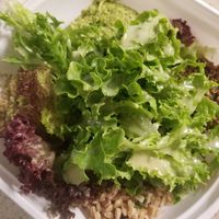 Happy Vegan at Tender Greens in San Diego