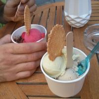 vegan ice cream at TONIS in Leipzig