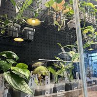   at Fine Grind Cafe in St Catharines