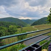  at Försters Weinterrassen in Ahrweiler